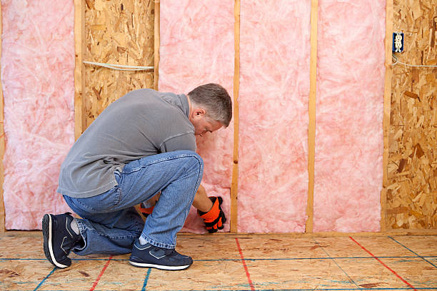 Best Spray Foam Insulation in Apache Junction, AZ