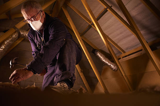 Best Insulation Maintenance and Repair in Apache Junction, AZ